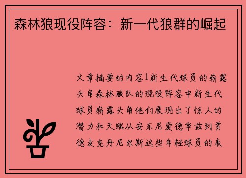 森林狼现役阵容：新一代狼群的崛起